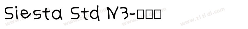Siesta Std N3字体转换